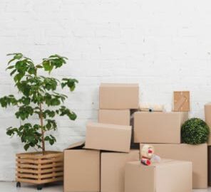 San Diego moving boxes in a home