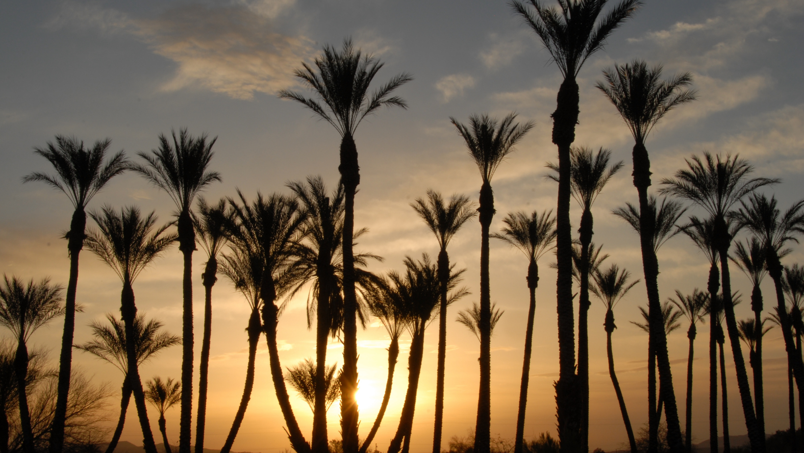 Clairemont-California-southern-california-sunset