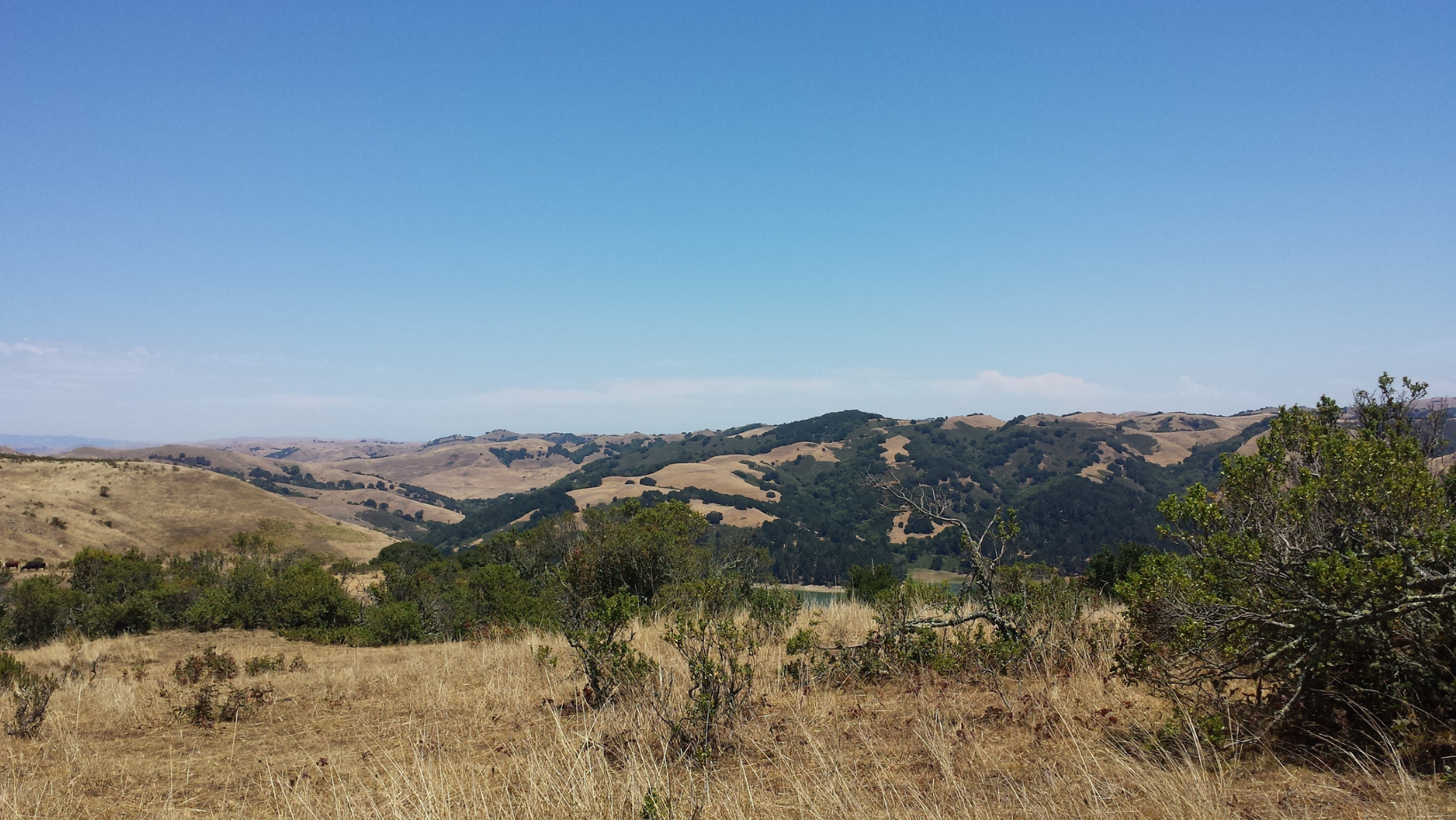 berkeley california hills