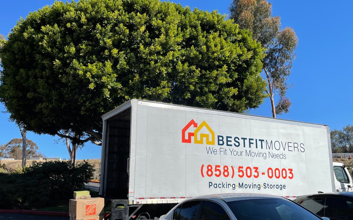 Local San Diego Moving Company Best Fit Movers & Storage